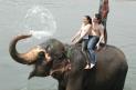 Elephant Safari class=
