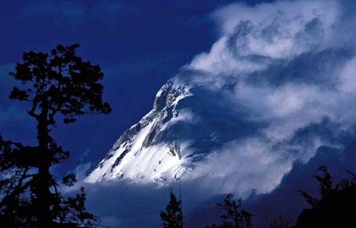 Stunning Chomolhari Trek