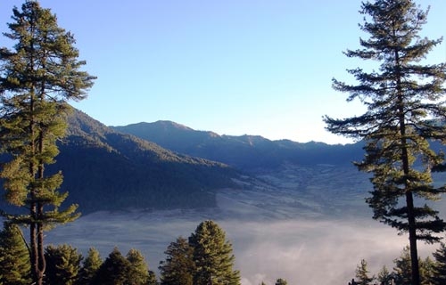 Gangtey Valley Trek